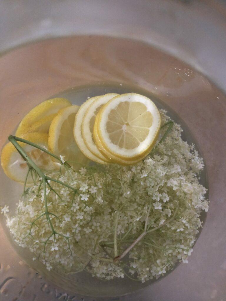 Le Champagne des Fées