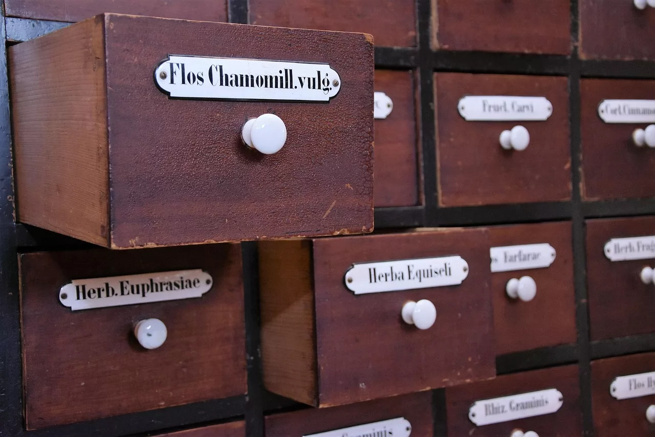 Santé fonctionnelle dans la Loire